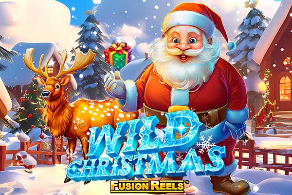 Wild Christmas slot game